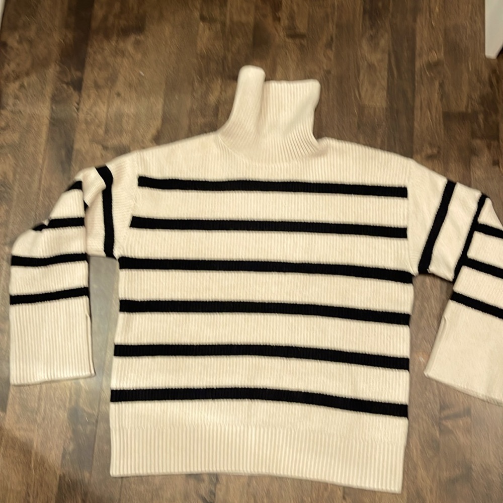 Striped turtleneck sweater